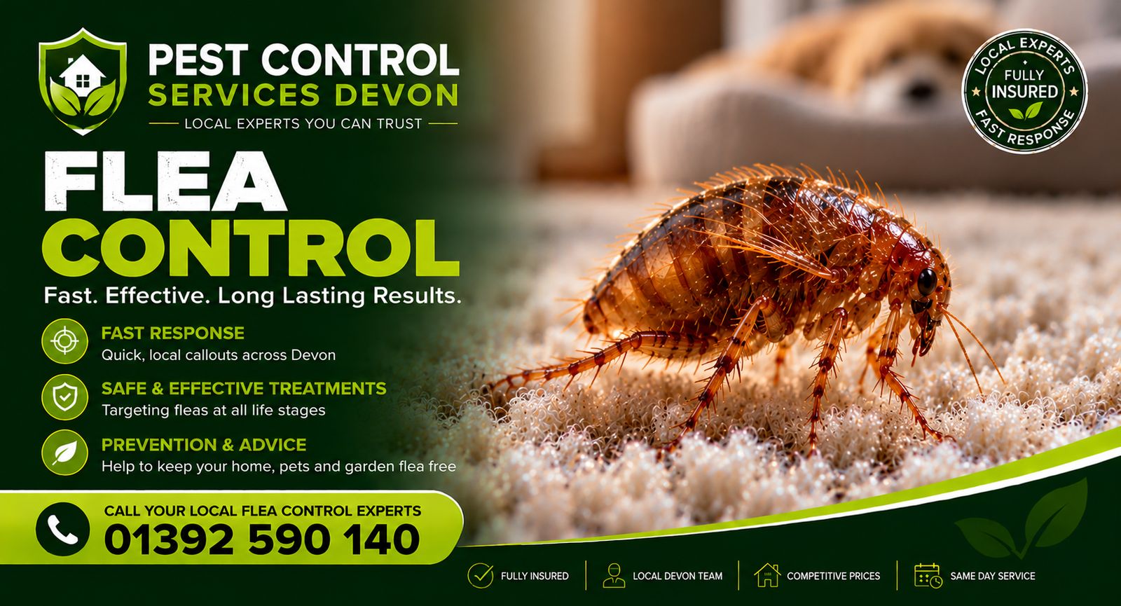 Pest Control Services Devon, call 01392 590 140